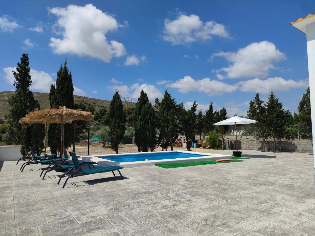 Casa Rural Con Piscina Climatizada Y Barbacoa A 10 Km De Alicante Y Playas, 3000 M2 De Terreno エルチェ エクステリア 写真